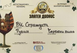 Отличия на Strajdata – медали за Rubin 2025